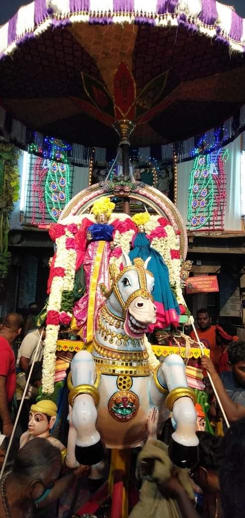 திருமயிலை அருள்மிகு கபாலீஸ்வரர்  பங்குனி   திருவிழா
